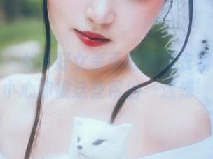 微密圈 – 好H好女杀手的新连衣裙私房图包，小心你被这些帮凶‘迷惑’啊！